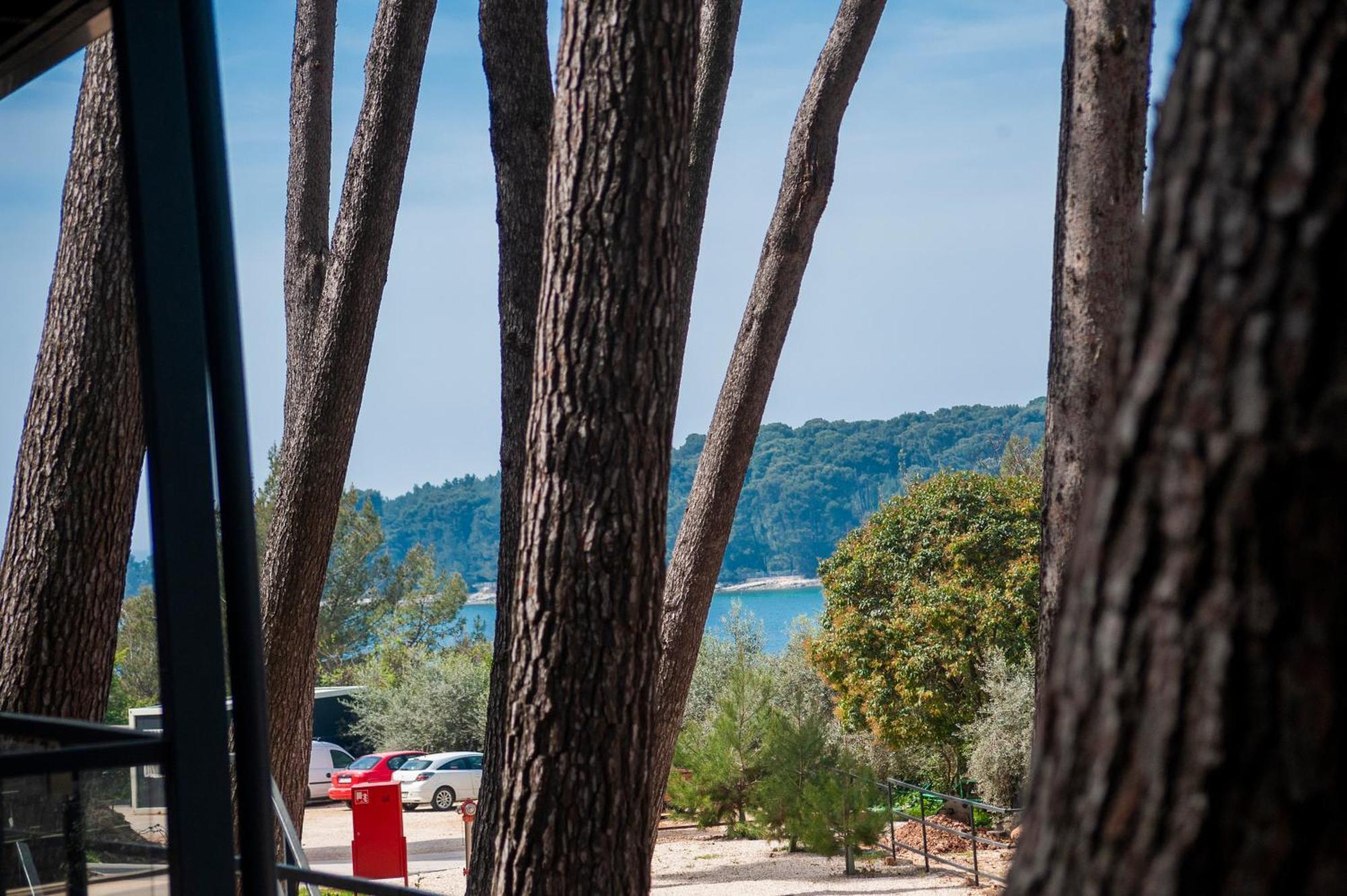 Mobile Home Masa 163, Camp Porton Biondi Rovinj Exterior foto